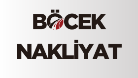 şık ve zarif logo tasarlarım