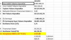 FİNANSMAN GİDER KISITLAMASI HESAPLAMA RAPORU