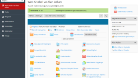 Domain & Hosting