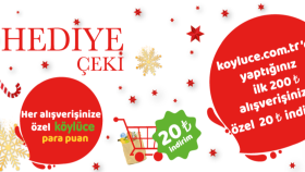 Web Sitesi Çalışmaları
