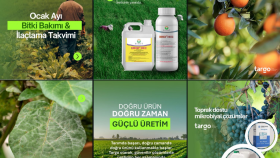 markanız için aylık sosyal medya içerikleri üretiyorum