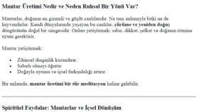 Mantar Üretimiyle Spiritüel Bir Yolculuk