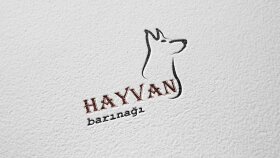 logo tasarımı
