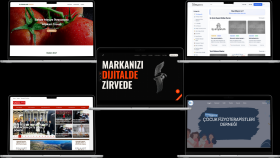 profesyonel web sitesi geliştiririm