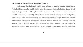 Virüs ve kanser 