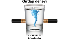 Bilimsel deney içerikleri