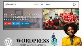 Header & ana sayfa şablonu 