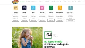 Kurumsal web siteleri (Koopsüt)