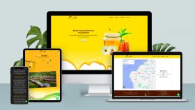 özel tasarım mobil uyumlu websitenizi yaparım