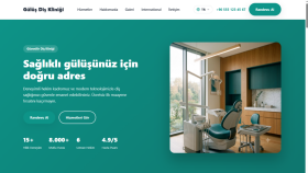 profesyonel şekilde anahtar teslim web sitesi yaparım