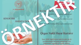 yenilikçi ve kendine özgü broşür tasarımı yaparım