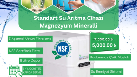 Markaya Uygun Meta Reklam Postları