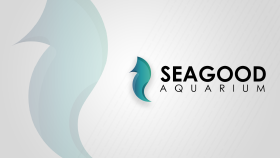 Logo Banner