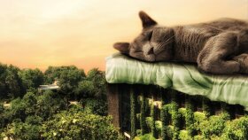 fotoğraflarınızı manipüle edebilirim