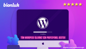 wordpress ile ilgili tüm ihtiyaçlarınıza cevap verebilirim