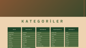 Kullanıcı Dostu Web Tasarım
