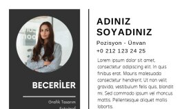 Profesyonel CV Örneği-4
