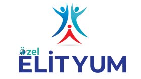 Özel Elityum Hastahanesi Logo Çalışması