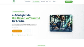 Paron Teknoloji Web Sitesi Kurulumu 