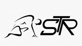 size uygun logo tasarlayabilirim