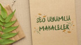 Seo uyumlu makale hizmeti