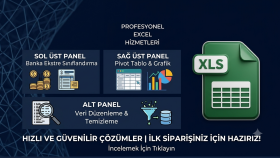 profesyonel excel veri girişi ve raporlama işinizi yaparım