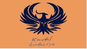 Markalara özel logo tasarımı 