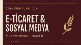 gıda firmanıza dijital satış danışmanlığı veririm