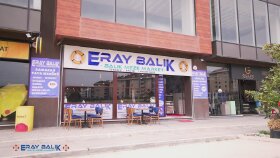 sosyal medya için tanıtım videoları