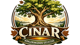 profesyonel olarak logo tasarımı yapabilirim