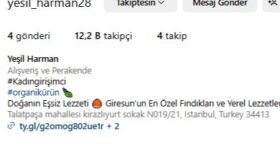 Organik Gerçek takipçi Hizmetimiz