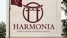 markanızın ruhunu yansıtan akılda kalıcı logo tasarlıyorum