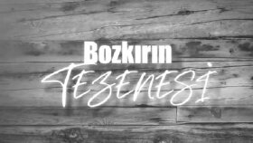 Neşet ertaş
