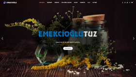 Wordpress Web Tasarımı