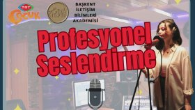 profesyonel  seslendirme yapıyorum