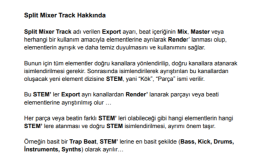 Stem Seperation .pdf