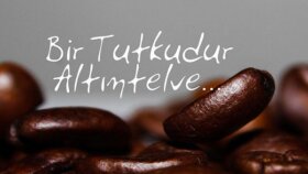 Altıntelve sosyal medya tasarımı