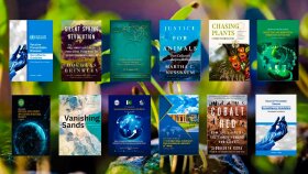 kitap ve katalog tasarlama konusunda uzmanım