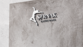 Şırnak Dans Logo Tasarımı