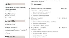 Cv - Özgeçmiş Örneği