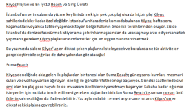 web sitesi içeriği yazabilirim