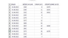 DATA ANALİZ UZMANI