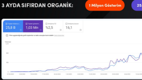 Profesyonel Seo Hizmeti