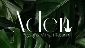 Logo ve çeşitli tasarımlarımız