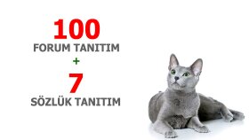 İş örneğim