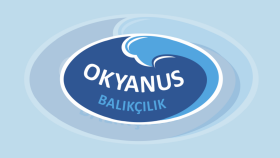 Logo Tasarımı