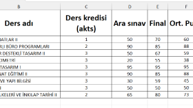excel dosyalarınızı istediğiniz şekilde düzenleyebilirim