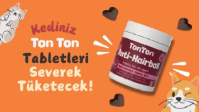 Tonton Anti Hairball Tablet