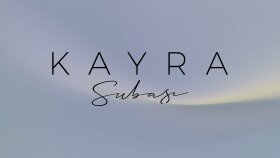 Signature Logo 