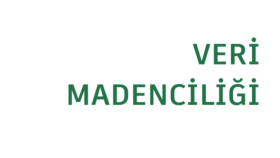 halka açık bir internet sitesinden veri çekebilirim